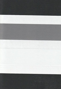 Открытые рулонные шторы день-ночь Салерно, серый 2002 купить в Луховицах с доставкой